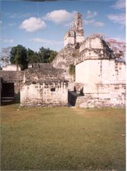 166-TikalCentralAcropolis