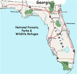 055a-NationalForests-FL