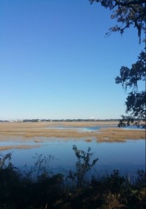 Salt Marshes