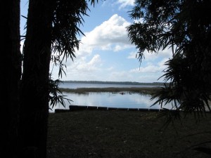 View of OceanPond