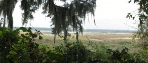 Alachua Lake Overlook