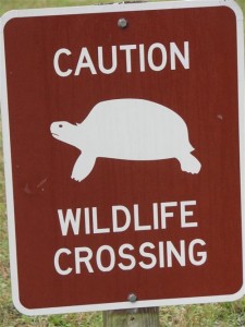 Wildlife Crossing Sign