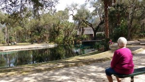 Juniper Springs-2 2016