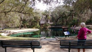 Juniper Springs 2016