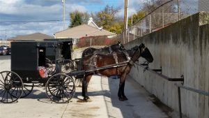 Amish Buggies