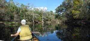 Canoeing Withlacoochee River