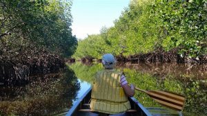 Blackwater River- Collier Seminole