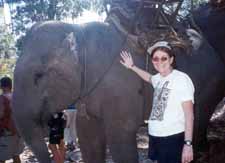 Judi gives her elephant a pat