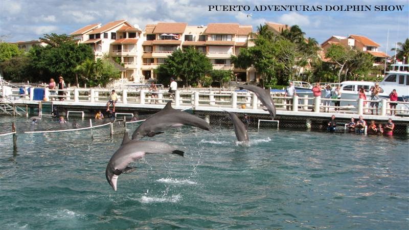 Visit to Puerto Aventuras